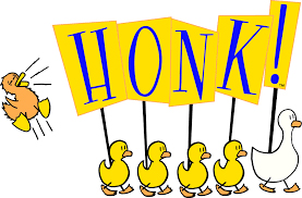 Honk